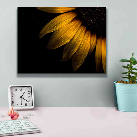 Image of 'Backyard Flowers 28 Sunflower' by Brian Carson, Giclee Canvas Wall Art,16 x 12