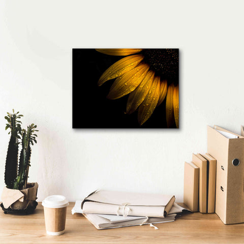Image of 'Backyard Flowers 28 Sunflower' by Brian Carson, Giclee Canvas Wall Art,16 x 12