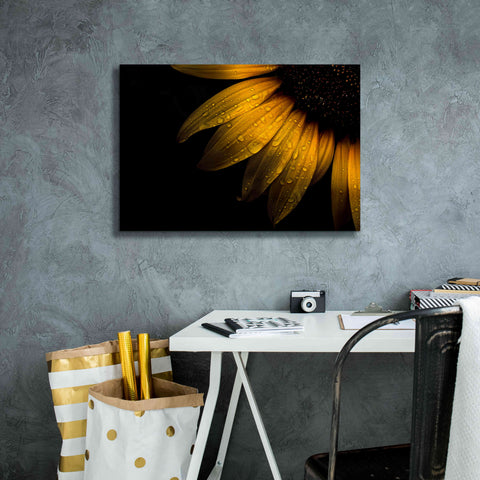 Image of 'Backyard Flowers 28 Sunflower' by Brian Carson, Giclee Canvas Wall Art,26 x 18