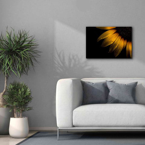 Image of 'Backyard Flowers 28 Sunflower' by Brian Carson, Giclee Canvas Wall Art,26 x 18