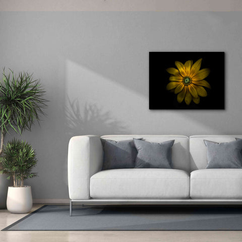 Image of 'Backyard Flowers 34 Color Version' by Brian Carson, Giclee Canvas Wall Art,34 x 26