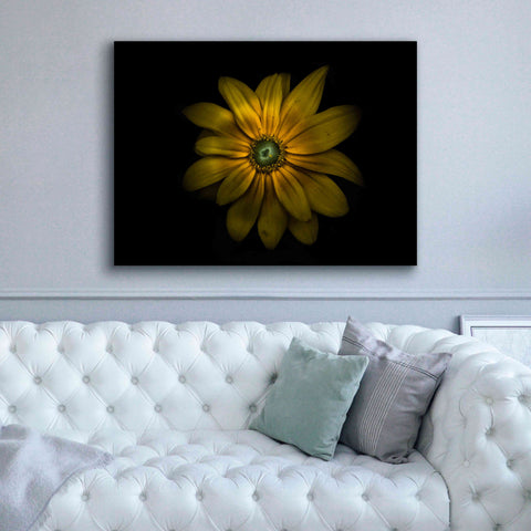 Image of 'Backyard Flowers 34 Color Version' by Brian Carson, Giclee Canvas Wall Art,54 x 40