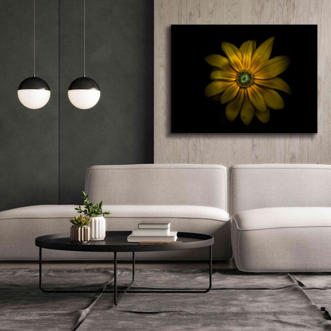Image of 'Backyard Flowers 34 Color Version' by Brian Carson, Giclee Canvas Wall Art,54 x 40