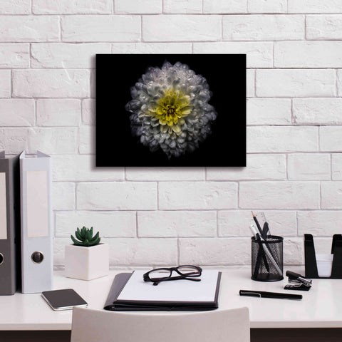 Image of 'Backyard Flowers 46 Color Version' by Brian Carson, Giclee Canvas Wall Art,16 x 12