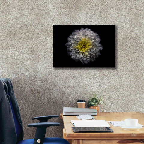 Image of 'Backyard Flowers 46 Color Version' by Brian Carson, Giclee Canvas Wall Art,26 x 18