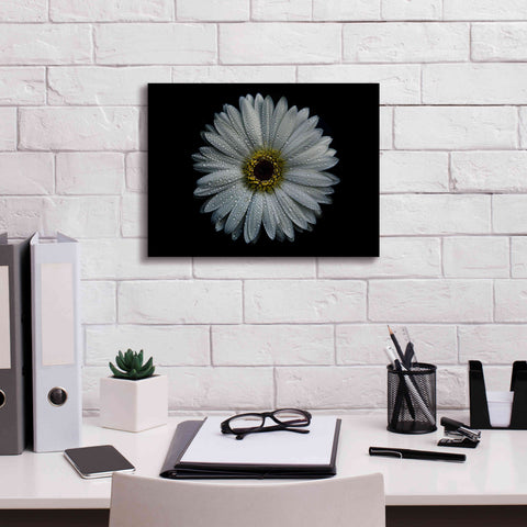 Image of 'Backyard Flowers 71 Color Version' by Brian Carson, Giclee Canvas Wall Art,16 x 12