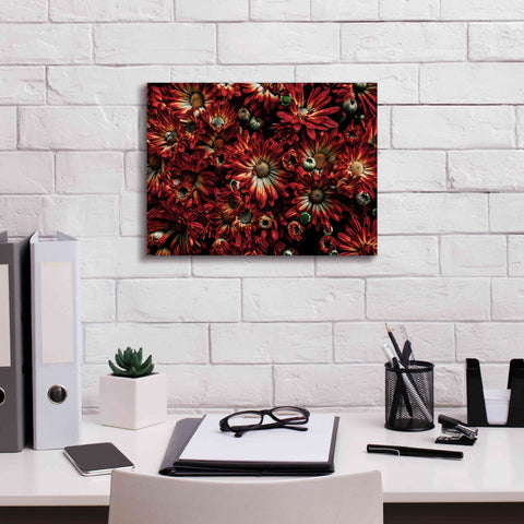 Image of 'Backyard Flowers 88 Color Version' by Brian Carson, Giclee Canvas Wall Art,16 x 12