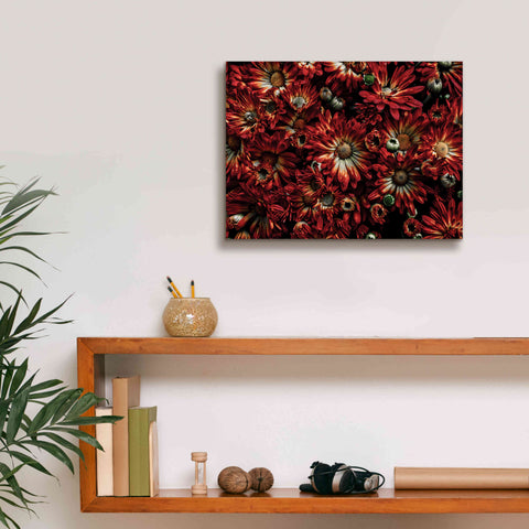 Image of 'Backyard Flowers 88 Color Version' by Brian Carson, Giclee Canvas Wall Art,16 x 12
