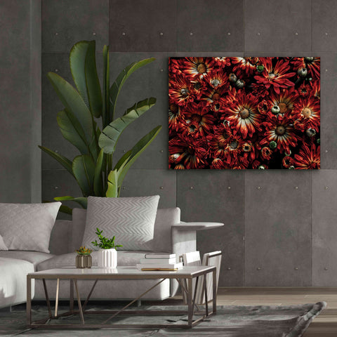 Image of 'Backyard Flowers 88 Color Version' by Brian Carson, Giclee Canvas Wall Art,54 x 40