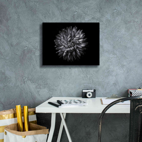 Image of 'Backyard Flowers In Black And White 20' by Brian Carson, Giclee Canvas Wall Art,16 x 12