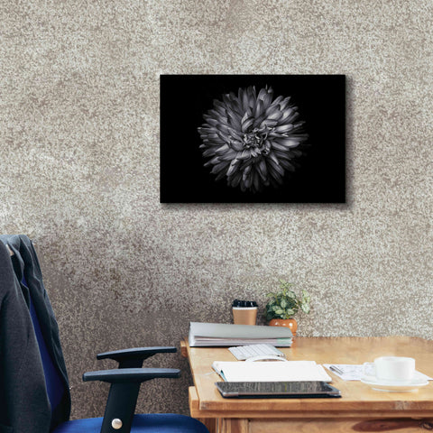 Image of 'Backyard Flowers In Black And White 20' by Brian Carson, Giclee Canvas Wall Art,26 x 18