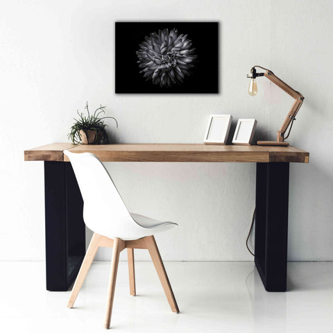 Image of 'Backyard Flowers In Black And White 20' by Brian Carson, Giclee Canvas Wall Art,26 x 18
