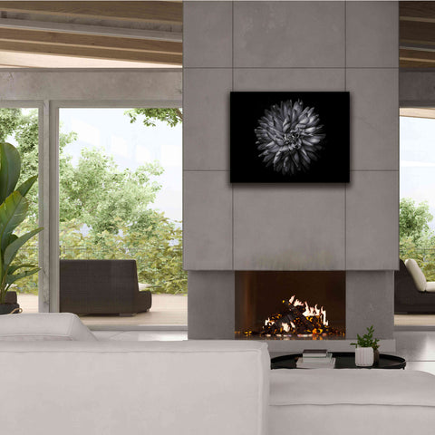 Image of 'Backyard Flowers In Black And White 20' by Brian Carson, Giclee Canvas Wall Art,34 x 26