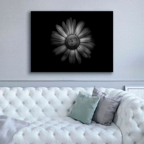 Image of 'Backyard Flowers In Black And White 31' by Brian Carson, Giclee Canvas Wall Art,54 x 40