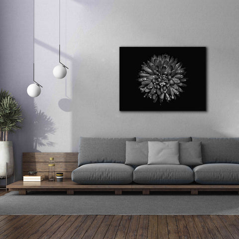 Image of 'Backyard Flowers In Black And White 45' by Brian Carson, Giclee Canvas Wall Art,54 x 40