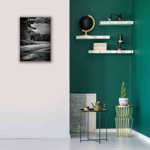 Image of 'Gullwing Lake No 4' by Brian Carson, Giclee Canvas Wall Art,18 x 26