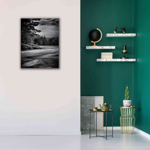Image of 'Gullwing Lake No 4' by Brian Carson, Giclee Canvas Wall Art,26 x 34