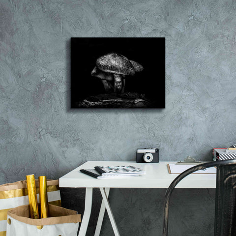 Image of 'Toadstools On A Trail No 1' by Brian Carson, Giclee Canvas Wall Art,16 x 12