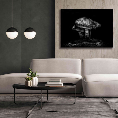 Image of 'Toadstools On A Trail No 1' by Brian Carson, Giclee Canvas Wall Art,54 x 40
