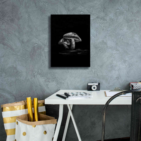 Image of 'Toadstools On A Trail No 2' by Brian Carson, Giclee Canvas Wall Art,12 x 16