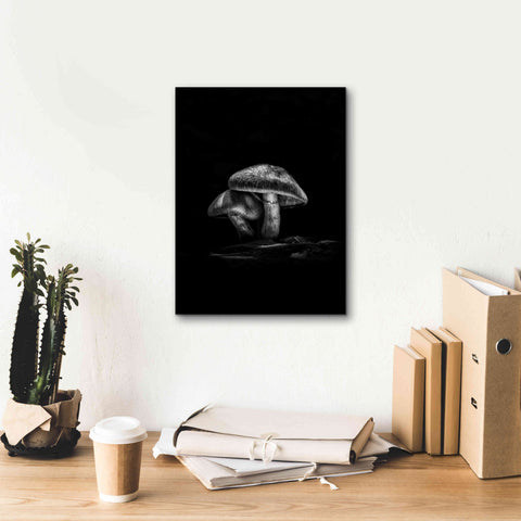 Image of 'Toadstools On A Trail No 2' by Brian Carson, Giclee Canvas Wall Art,12 x 16