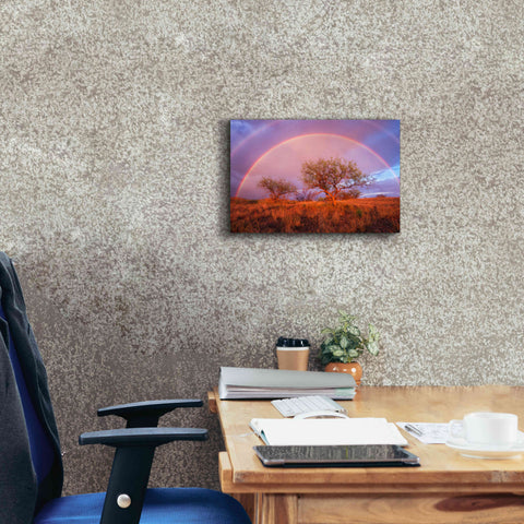 Image of 'Arizona Rainbow' by Thomas Haney, Giclee Canvas Wall Art,18 x 12