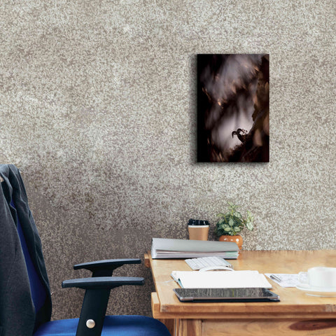 Image of 'Bighorn Silhouette Best' by Thomas Haney, Giclee Canvas Wall Art,12 x 18