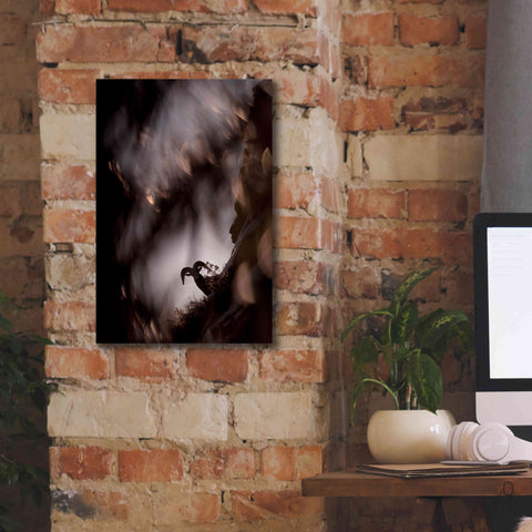 Image of 'Bighorn Silhouette Best' by Thomas Haney, Giclee Canvas Wall Art,12 x 18