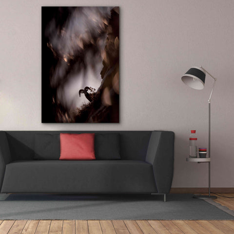 Image of 'Bighorn Silhouette Best' by Thomas Haney, Giclee Canvas Wall Art,40 x 60