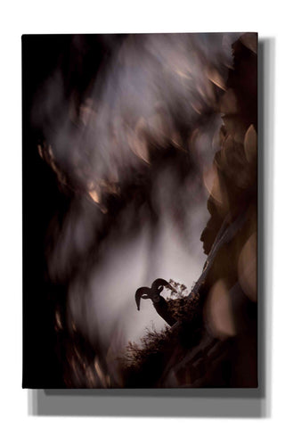 Image of 'Bighorn Silhouette Best' by Thomas Haney, Giclee Canvas Wall Art