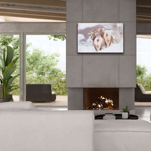 Image of 'Bighorns Two' by Thomas Haney, Giclee Canvas Wall Art,40 x 26