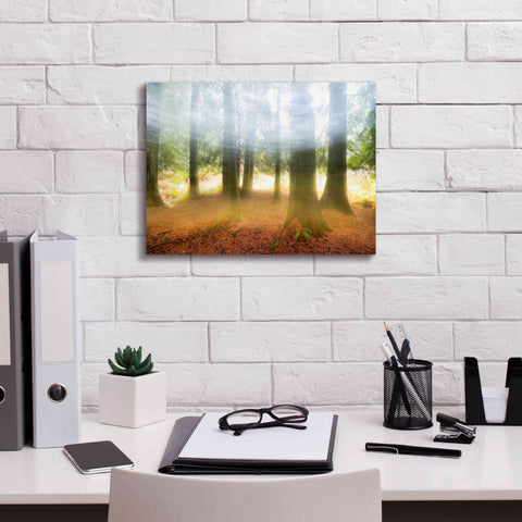 Image of 'Blurred Trees' by Thomas Haney, Giclee Canvas Wall Art,16 x 12