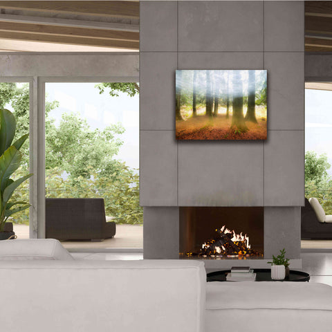 Image of 'Blurred Trees' by Thomas Haney, Giclee Canvas Wall Art,34 x 26