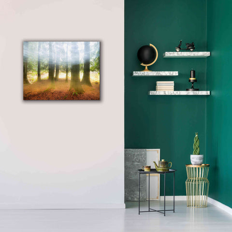 Image of 'Blurred Trees' by Thomas Haney, Giclee Canvas Wall Art,34 x 26