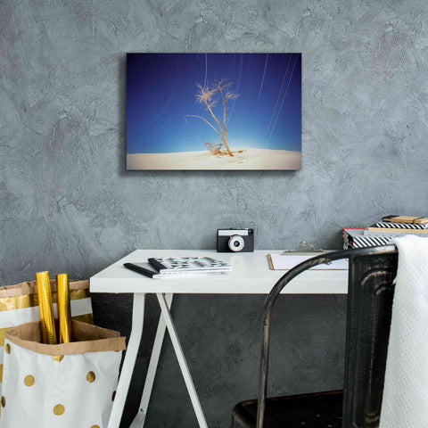 Image of 'Bright Cottonwood Drum Scan' by Thomas Haney, Giclee Canvas Wall Art,18 x 12