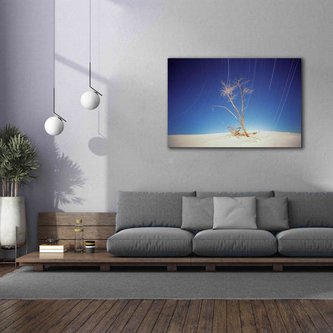 Image of 'Bright Cottonwood Drum Scan' by Thomas Haney, Giclee Canvas Wall Art,60 x 40