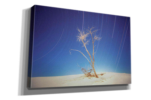 Image of 'Bright Cottonwood Drum Scan' by Thomas Haney, Giclee Canvas Wall Art