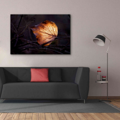 Image of 'Bright Leaf Proc' by Thomas Haney, Giclee Canvas Wall Art,60 x 40