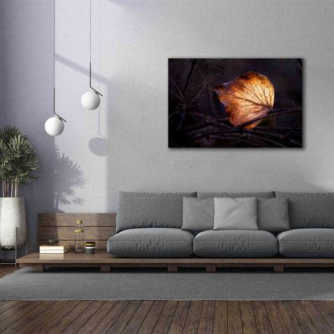 Image of 'Bright Leaf Proc' by Thomas Haney, Giclee Canvas Wall Art,60 x 40