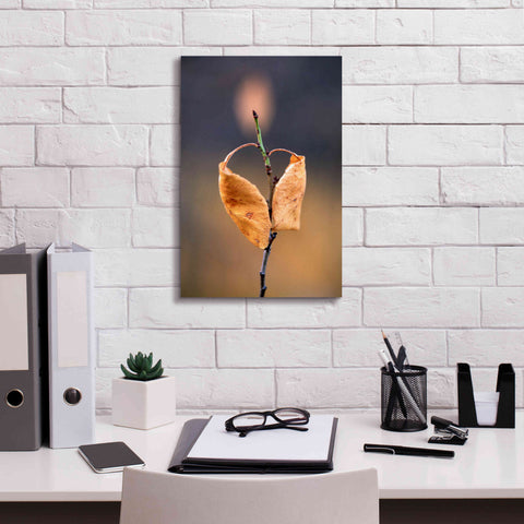 Image of 'Candle Plant' by Thomas Haney, Giclee Canvas Wall Art,12 x 18