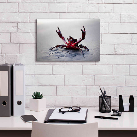 Image of 'Claws Up' by Thomas Haney, Giclee Canvas Wall Art,18 x 12