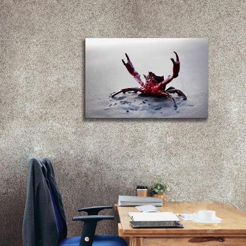 Image of 'Claws Up' by Thomas Haney, Giclee Canvas Wall Art,40 x 26