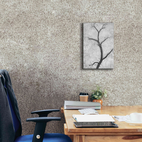 Image of 'Cottonwood Form B&W' by Thomas Haney, Giclee Canvas Wall Art,12 x 18