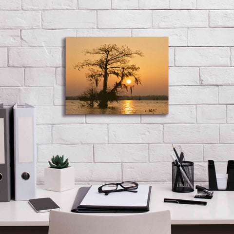 Image of 'Cypress Proc' by Thomas Haney, Giclee Canvas Wall Art,16 x 12
