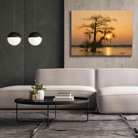 Image of 'Cypress Proc' by Thomas Haney, Giclee Canvas Wall Art,54 x 40