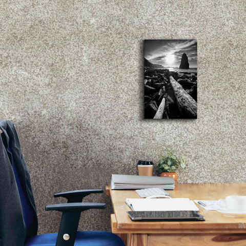Image of 'Driftwood Sun 1 Silver' by Thomas Haney, Giclee Canvas Wall Art,12 x 18