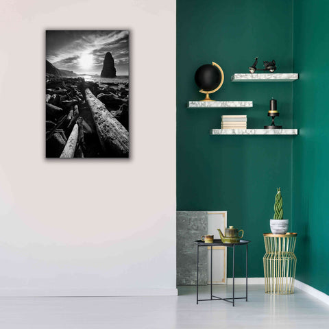 Image of 'Driftwood Sun 1 Silver' by Thomas Haney, Giclee Canvas Wall Art,26 x 40