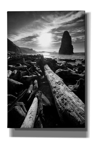 Image of 'Driftwood Sun 1 Silver' by Thomas Haney, Giclee Canvas Wall Art