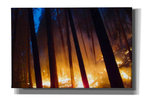 Image of 'Burning Forest' by Thomas Haney, Giclee Canvas Wall Art