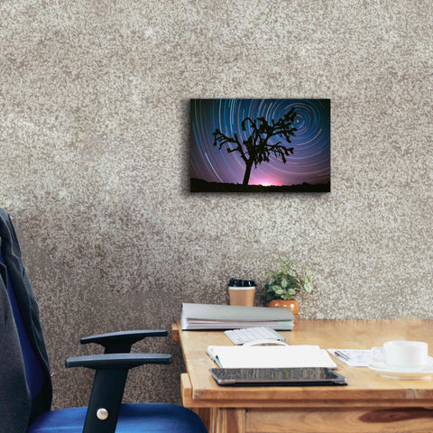 Image of 'Joshua Tree North Star Proc' by Thomas Haney, Giclee Canvas Wall Art,18 x 12